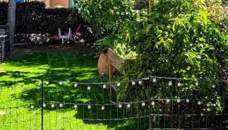 2 Pièces 45m2, Calme, Confort, Mer à 200m, Jardin, Terrasse, Piscine - Foto 4, Garden, Garden view