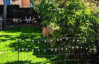 2 Pièces 45m2, Calme, Confort, Mer à 200m, Jardin, Terrasse, Piscine - Foto 4