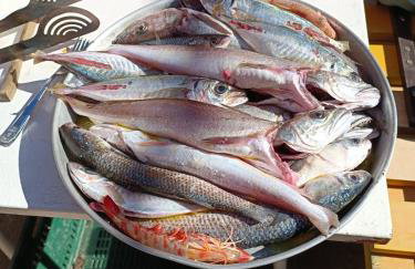 Stara kuća - Photo 30