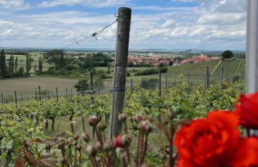 Ferienwohnung am Rathaus - Foto 12