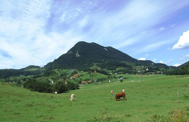 Relaxing Cottage Donacka Gora - Foto 20