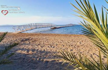 Piso Del Mar Menor - Foto 7