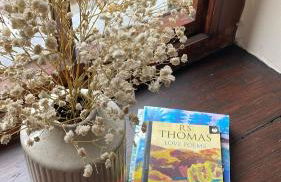 Poets Cottage Eglwys Fach - Foto 27