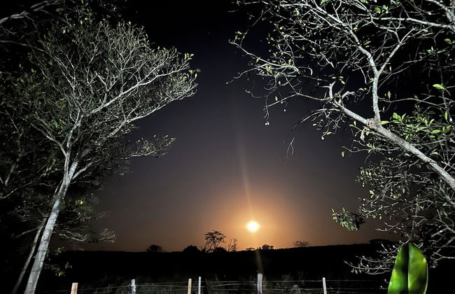 Rancho 5 corações pesqueiro - Foto 14