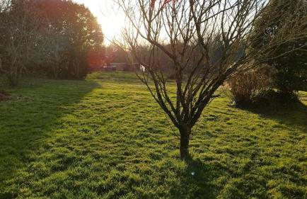 Gîte Lann Er Viline - Foto 36