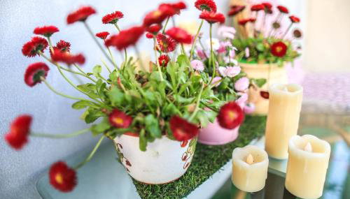 Agroturystyka Sikorki - Foto 4