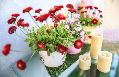 Agroturystyka Sikorki - Foto 4