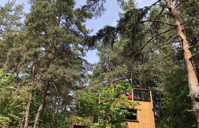 Holiday Home Under the Trees - Photo 18