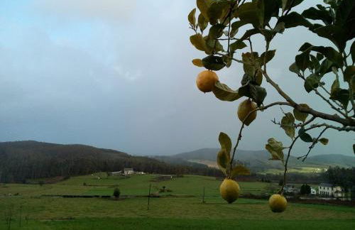 Casa o Furco - Foto 21