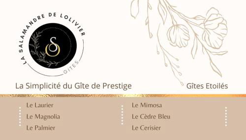 La Salamandre de l Olivier - le Mimosa - Foto 3