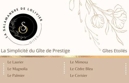 La Salamandre de l Olivier - le Palmier - Foto 14