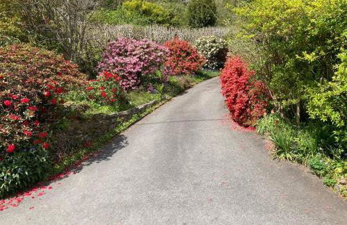 Stunning River Views, Tranquil Split-Level House, Private Garden & Parking - Foto 26