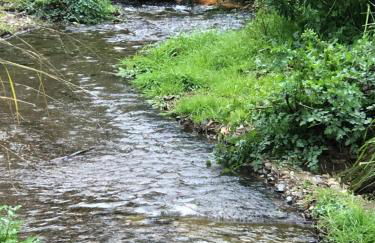 ALOJAMIENTO RURAL EL CASTAÑO - Foto 65