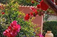 Julietta Suites - Photo 36