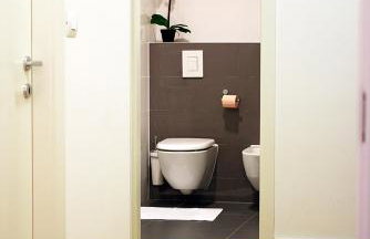 Green Diamond - Photo 16