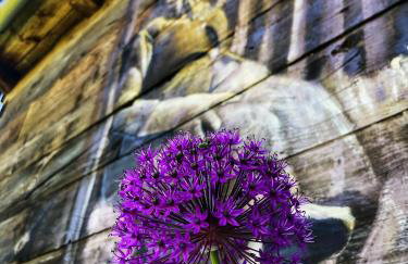 Magiczne Podlasie - Foto 32