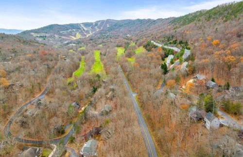 Huckleberry Ridge at Massanutten - Foto 37