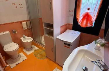 i tulipani - Foto 62