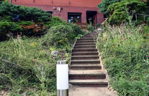 Elbwald-Studio - Foto 7