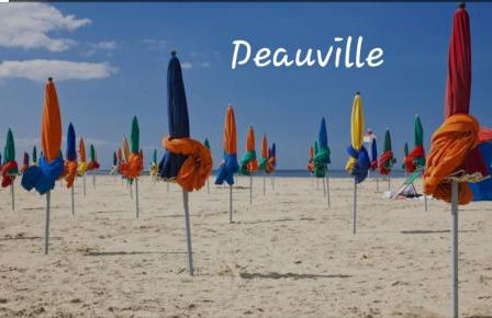 Appartement hyper centre, cathédrale, fibre - Photo 26