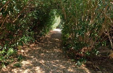 Cortijo del carmen - Photo 10