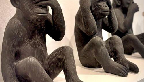 modern renovated home near city center & transit - Foto 2