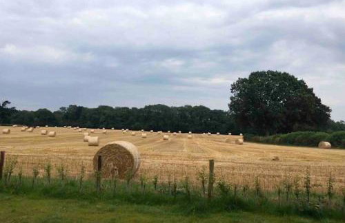 Secluded Log Cabin in beautiful private gardens - Foto 14