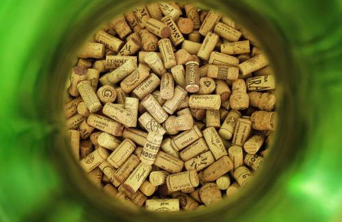 Raviola e Tajarin - Foto 53