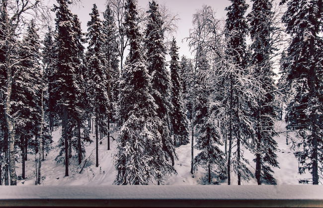 Villa Happy Fox - Photo 44