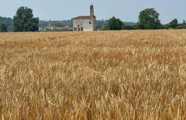 La casa di Noah - Foto 60