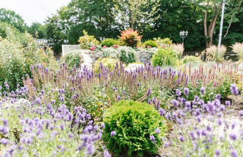 Villa Jesteburg - Foto 24