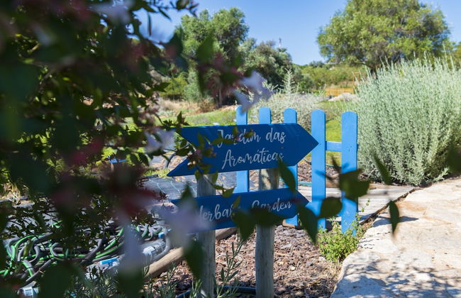 Quinta do Mel - Foto 55