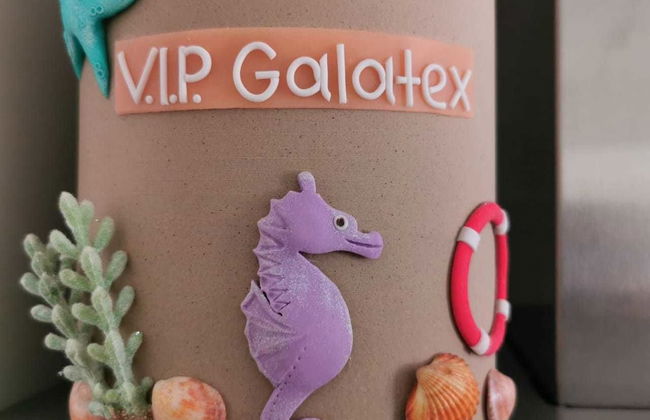 V.I.P. Galatex - Foto 35