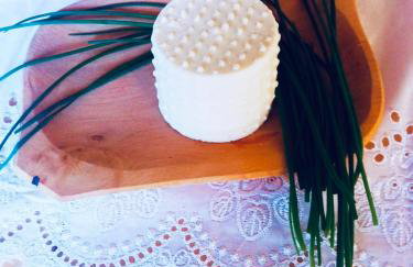 Gospodarstwo Agroturystyczne - Foto 19