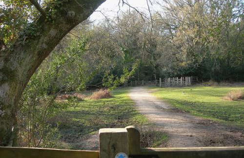 Laurel Cottage - Foto 15