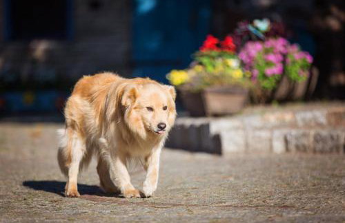 Gutshof Dragefeld - Foto 38