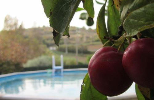 Quintal do Freixo - Country House - Photo 20