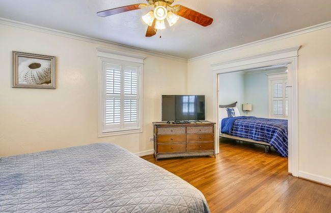 The Turquoise Turtle - Foto 3