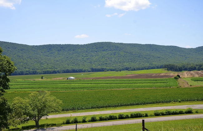 Mountain Cove Farms Resort - Foto 12