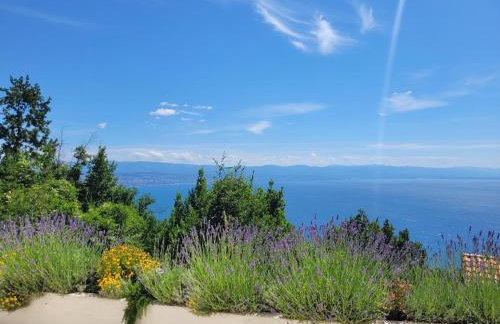 Apartments Chiara mit Meerblick und Pool und Jacuzzi - Foto 51