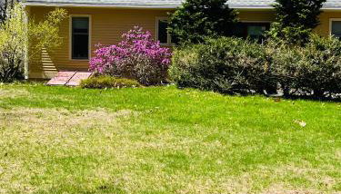 Golden Hill Oasis - Foto 3