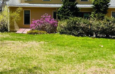 Golden Hill Oasis - Foto 3