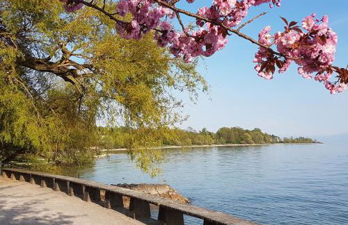 Wohnung Seerose - Foto 15