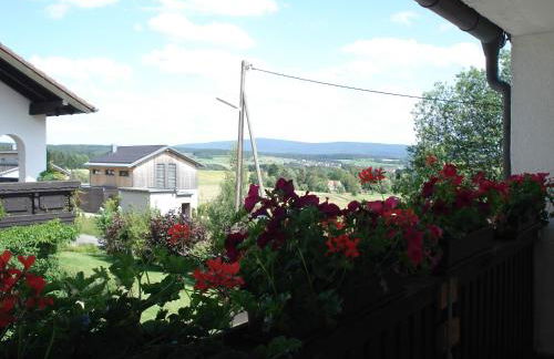 Haus Steinwaldblick - Foto 13