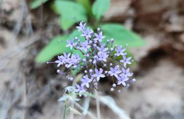 El Cantón - Alojamiento Rural - Foto 41