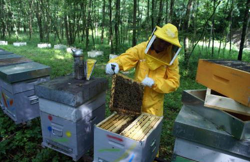 Agriturismo Florandonole - Foto 74