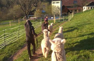 Ferienwohnungen Schwabenhof - Foto 29