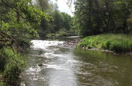 Ferienwohnungen "am Fürstenweg" - Foto 11