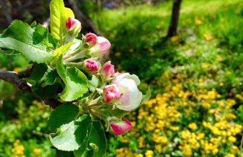 Idyllic Home on 26-Acre Farm in Blue Ridge Mtn - Foto 31