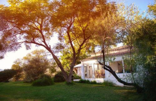 FINCA PALMERS DOS - Photo 13